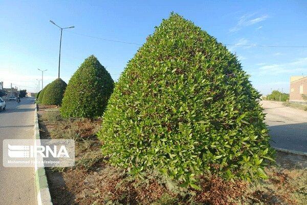 عامل حملات تنفسی در خوزستان چیست؟