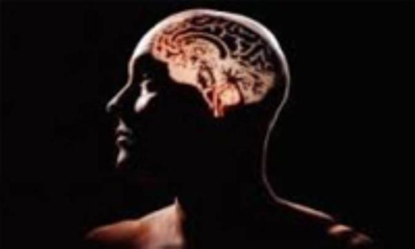 سروتونین چگونه خلق و خو را تحت تأثیر قرار می دهد سروتونین چگونه خلق و خو را تحت تأثیر قرار می دهد