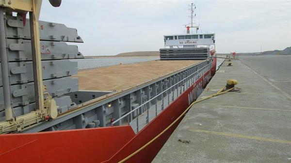 واردات 355 هزار تن گندم و روغن خام به کشور